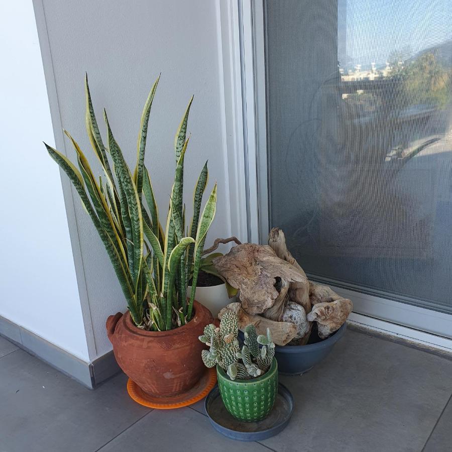 Latchi Ithaki, 2 Bedroom Penthouse Exterior photo